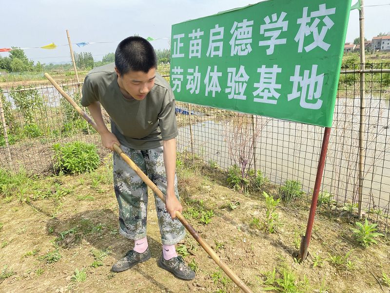 孩子叛逆有哪些表现？(图1)